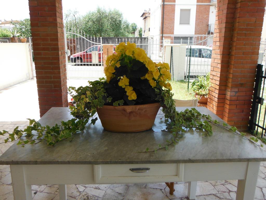 Appartamento La Casa di Nila Pisa Esterno foto