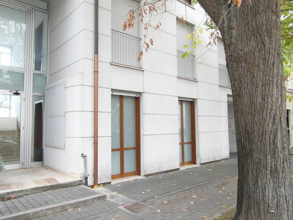 Appartamento La Casa di Nila Pisa Esterno foto